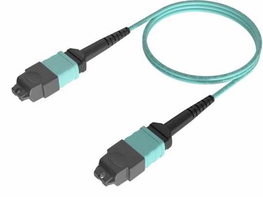 MM OM4 50/125(MTP-MTP 12C) MM OM4 50/125(MTP-MTP 12C)