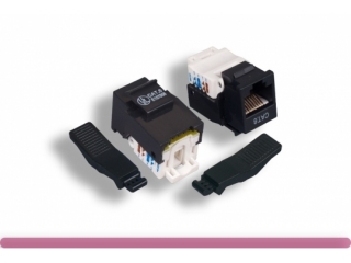 Keystone Jack,US,6P6C,WH