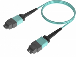 MM OM4 50/125(MTP-MTP 12C) MM OM4 50/125(MTP-MTP 12C)